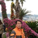 마산가고파 국화축제장 이미지