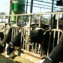 로뎀목장 이미지