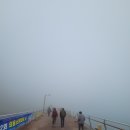 홍도밥상민박 이미지