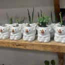 이마트24 전대후문점 | 전대후문 꽃집 🩷가든파티 🩷꽃다발 솔직후기