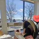 샤인광고 | 에이블 코지 샤인, 휴대용 유모차, 트라이크