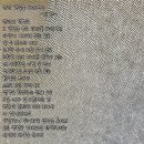 신안 갯벌을 바라보다 이미지