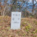 진골가든 티스토리