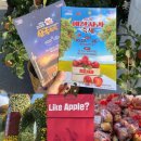 군청로 | 예산 사과축제&amp;삼국축제 주말 방문 후기 및 예산 시장 국밥집 추천