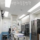 샤인아이안과동물병원 이미지