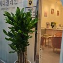 한결메디 이미지