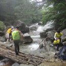 수양산 펜션 이미지