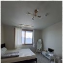 청하감성독채펜션 | 포항펜션 자연 속 진정한 힐링, 포항 청하 감성독채펜션 후기