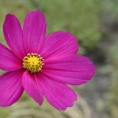 한누리 행정사사무소 이미지