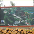 진산자연휴양림 이미지