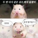 락휴코인노래연습장 송파구청점 이미지