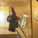 우치 닭발 이미지