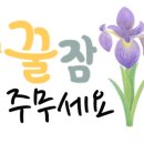 홍밀당떡볶이