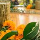 해나의정원 이미지