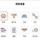 둘리미용실 | 우리집 반려견인 둘리랑 반려동물어플 바우와우로 대화하고 놀자