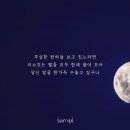 라윤 - 강남구 도산대로 542 | 라윤