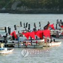 &#39;명량대첩 축제&#39; 해남 울돌목서 개막(종합) 이미지