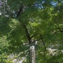 보리목장2 이미지