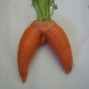 당근카센타 이미지