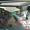 제임스짐 이미지