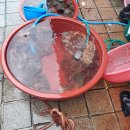 동아건어물마트 네이버블로그