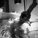 원.조경아트 이미지