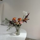 니모메플라워(NIMOME FLOWER)