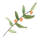 중로(보)1-3-4 이미지