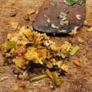 최강자농장 이미지