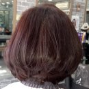 자르세헤어 이미지