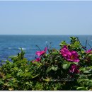 &#34;브런치스토리&#34; 이미지