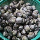 벌교택배2 이미지