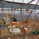 샤인하우스 가동 이미지