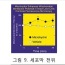 Re: 수소수에 관한 자료 이미지