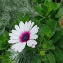 이정균내과의원 이미지