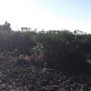 라온하우스 호스텔 이미지