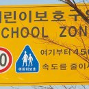 보호 이미지