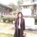 정옥농장2 이미지