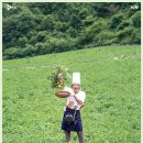 신청산골식당 이미지