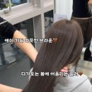 스너그살롱