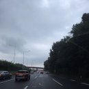 8월모텔 | 켄싱턴 호텔 평창 15개월 아기와 8월 여행 솔직 후기, 디너 식당 카페 플로리 최고, 산책로 최고...