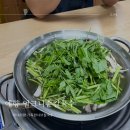 예향얼크니손칼국수 홍성점 | 홍성맛집) 미나리 듬뿍, 예향얼크니손칼국수