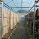 호영농장 이미지