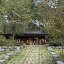연화산 유아숲체험원 이미지