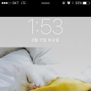 정성환동물병원 이미지