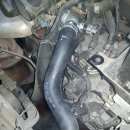 라제카센타 이미지