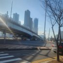 송도초등학교 | 인천둘레길9코스 인천환경공단~청량산둘레길~송도초교~삼호현, 2024/12/23(월)