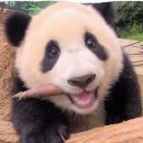 세영에너지 이미지