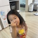 에벤에셀여행사주 | 디저트로 최고였던 제주 조천 카페 망고레이