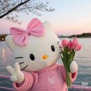 기가게임즈 | 취준일기(8)+카카오게임즈 공채 후기